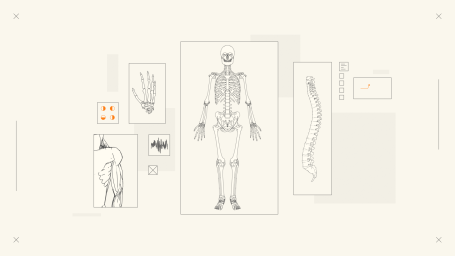 Moving and Handling People Line drawings of a human skeleton, hand, spine, and anatomical illustrations.